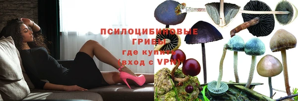 крисы Горно-Алтайск