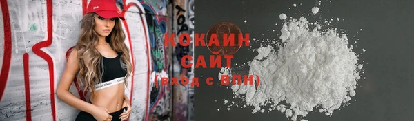 крисы Горно-Алтайск