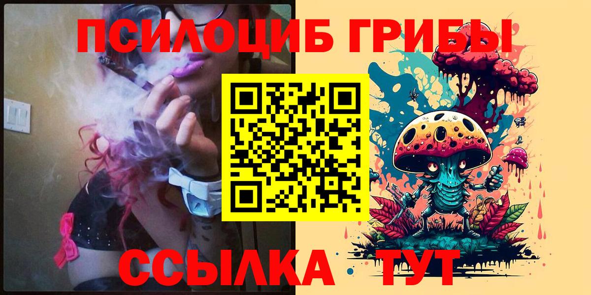 Псилоцибиновые грибы Psilocybe  Псилоцибиновые грибы мицелий  Вход с VPN  Дивногорск 